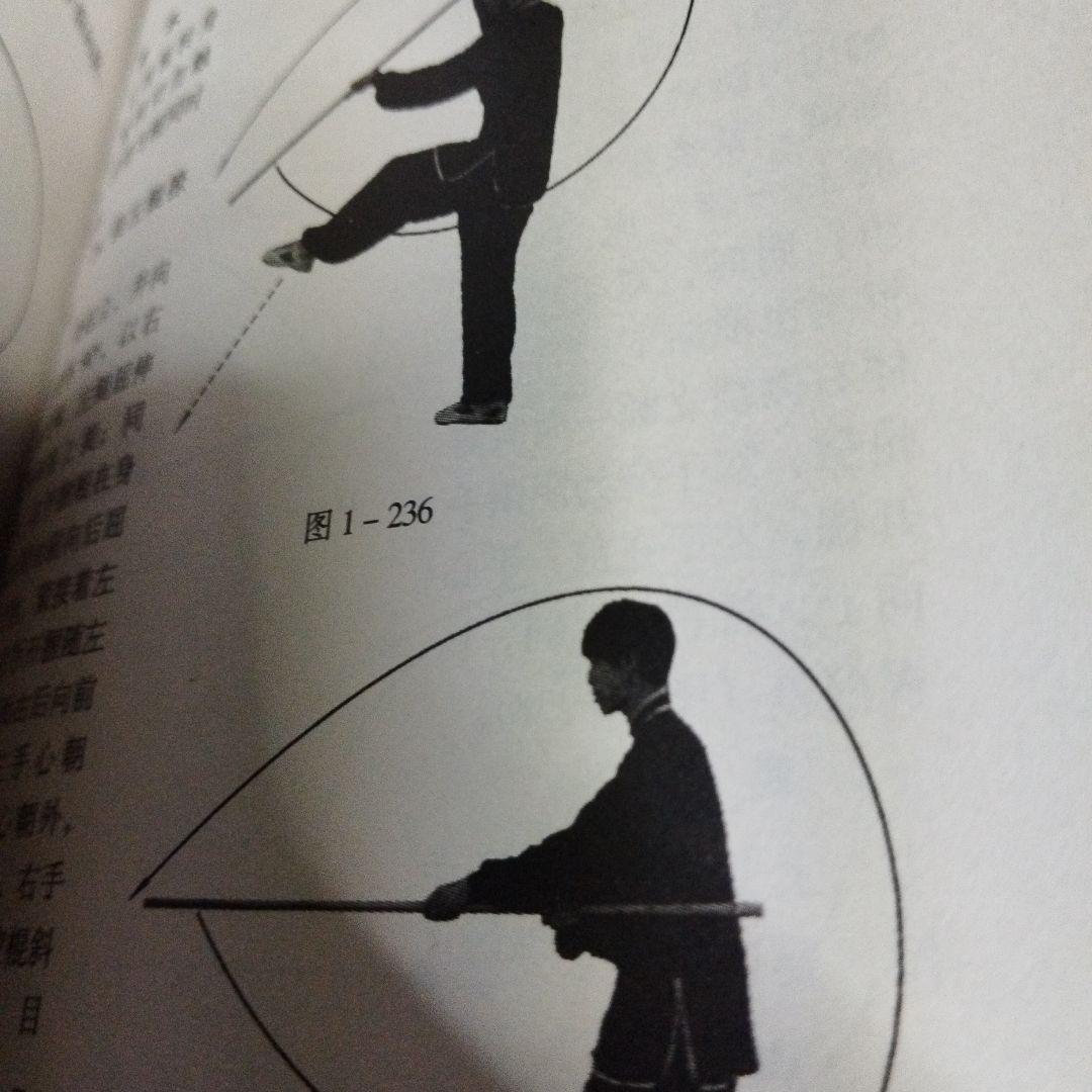 宋氏形意拳続編　上下巻　宋光华ともう一冊セット