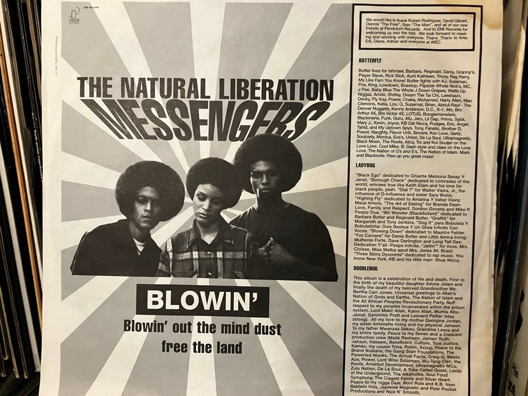 Digable Planets / Blowout Comb LP 名盤