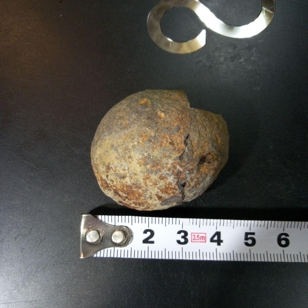 三葉虫　化石　fossil　ボリビア産　トライロバイト　Fossil番号①