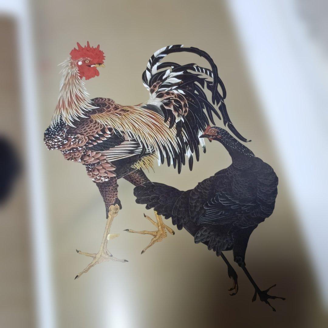 若冲！特別展カタログ