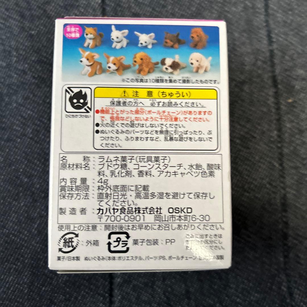 カバヤ 子犬ぬいぐるみ Cute Dog ボールチェーンマスコット 8点セット