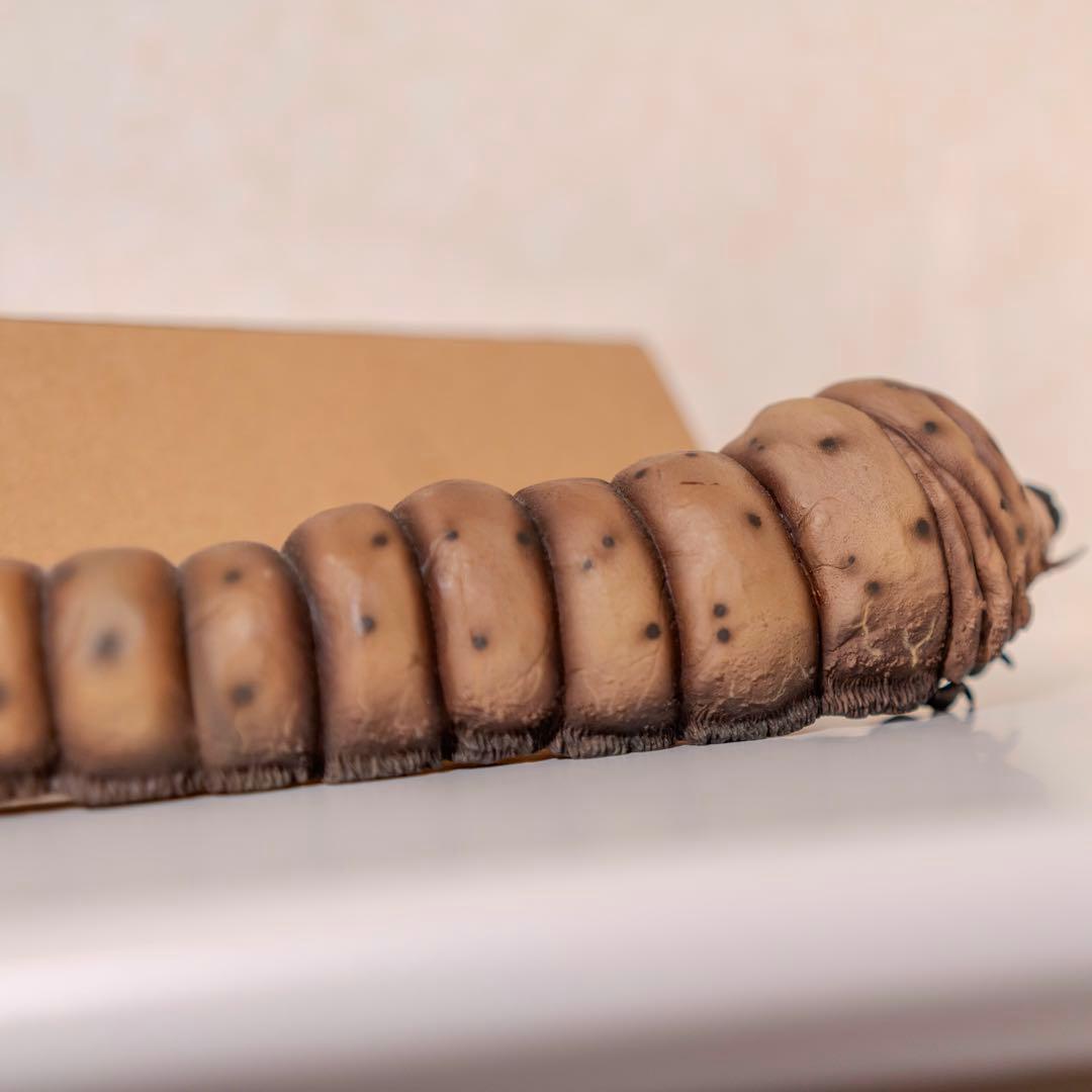 エクスプラス モスラ 1961 軟質版 限定100体 少年リック限定 ゴジラ