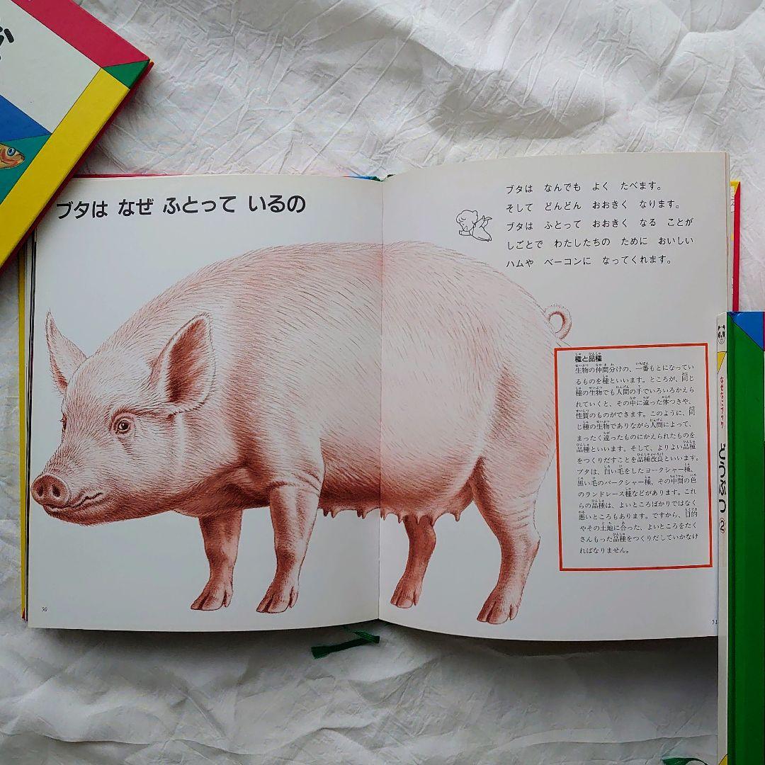 七田 しちだ 右脳記憶プリント せんがきプリント 家庭保育園 なぜなにブック 等