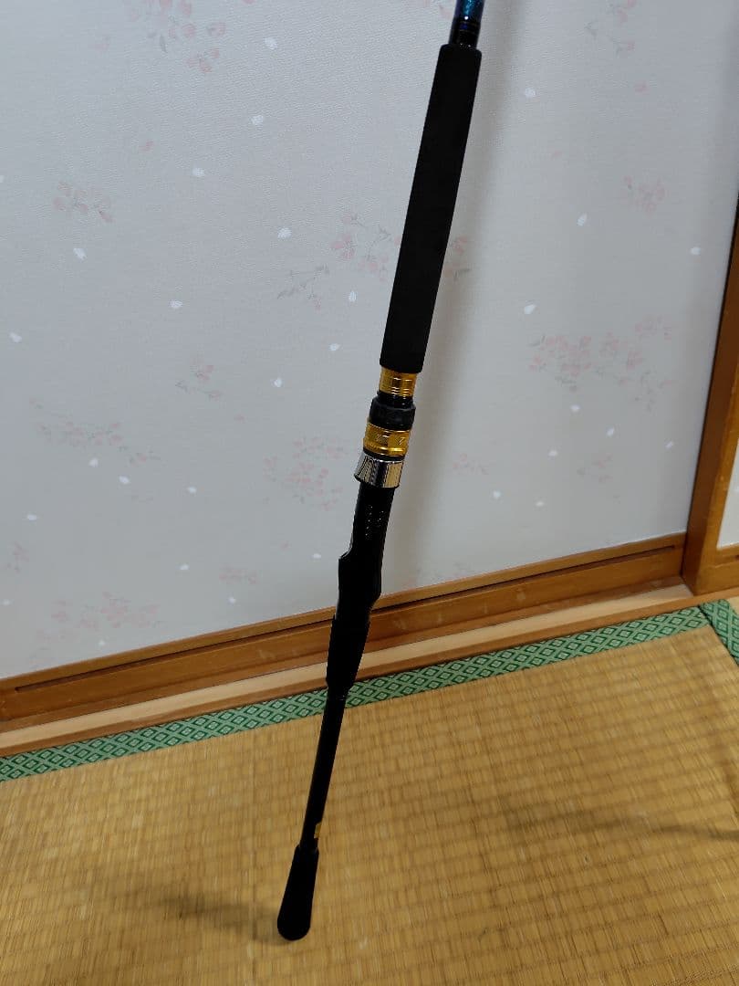 DAIWA シーパワー73 80-240