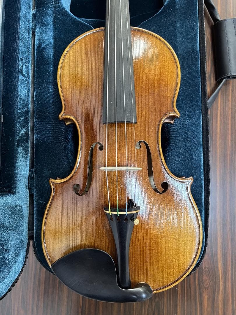 弦楽器 Alexandru Ozon Bucuresti Romania 2017