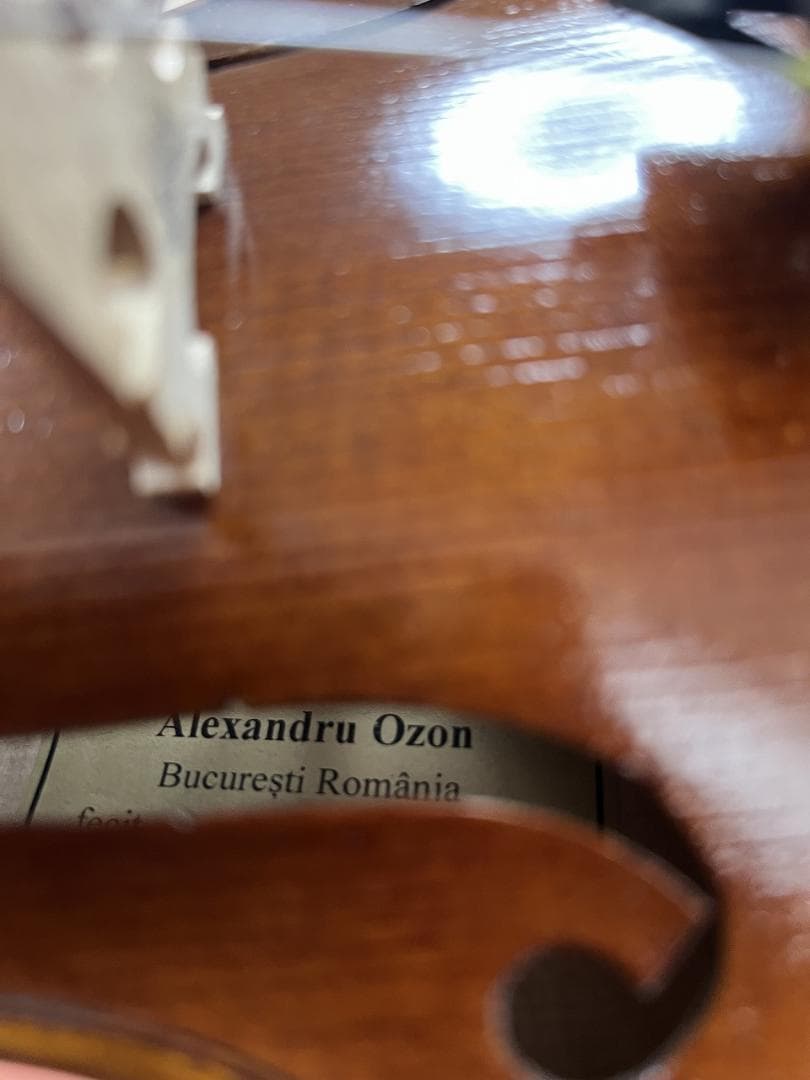 弦楽器 Alexandru Ozon Bucuresti Romania 2017