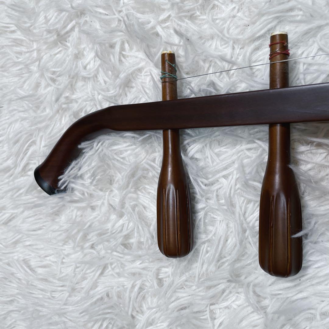 極美品　電気　ニ胡　エレキ　セミハードケース付き