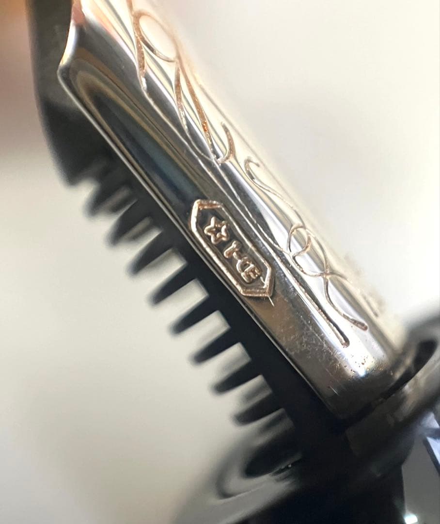 デルタ　ドルチェビータ　ミディアム　万年筆　14k F