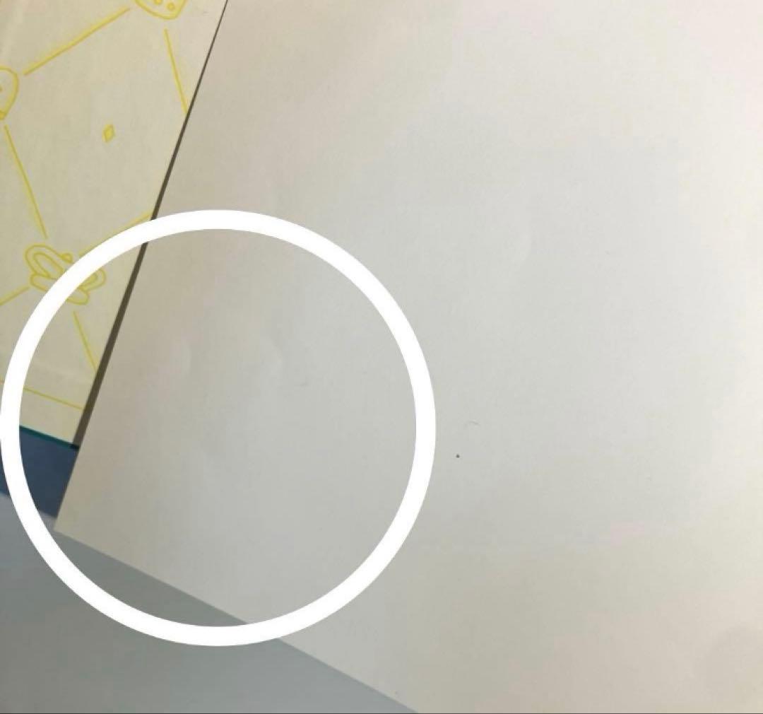 Cinderella Penguin（英語版）／ペンギンシンデレラ（英訳絵本）