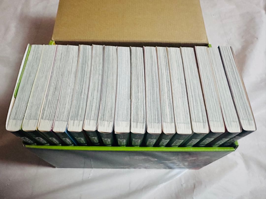 スティールボールラン 文庫　全巻セット 専用箱付き