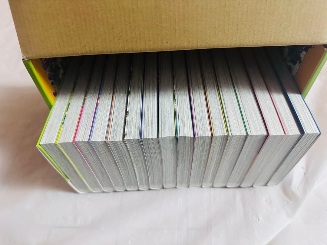 スティールボールラン 文庫　全巻セット 専用箱付き