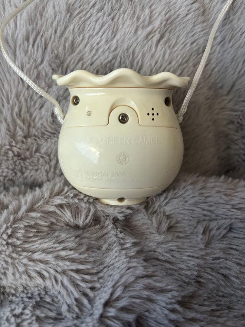 まめゴマ 飼育日記