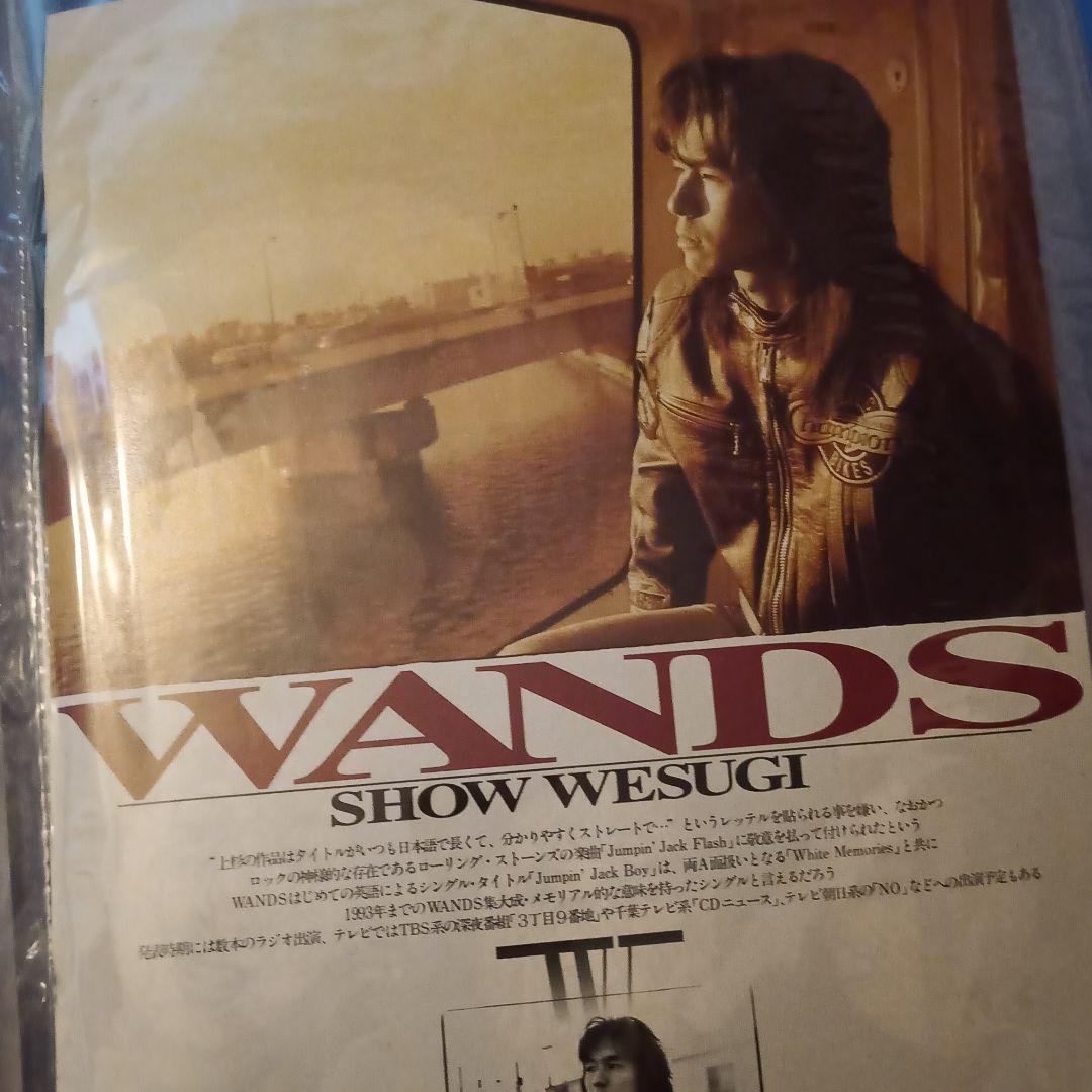 al.ni.co(WANDS)切り抜き+α