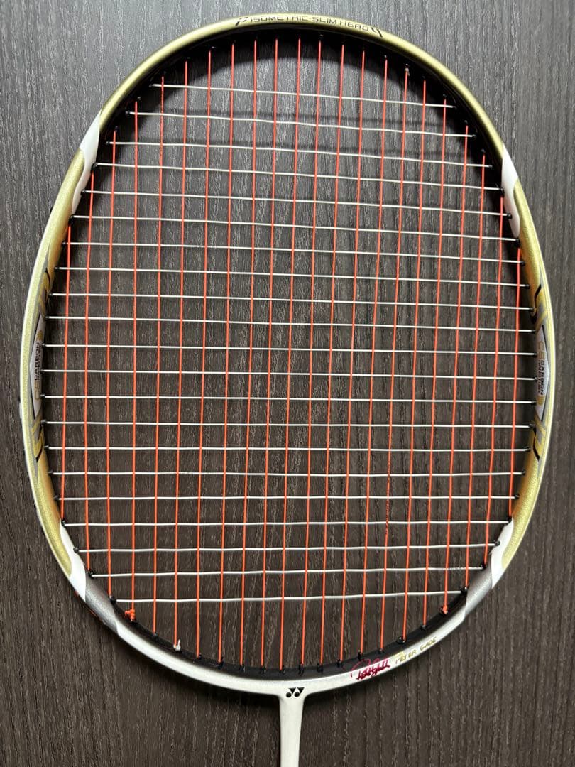 アークセイバー10 ピーターゲード 3UG5 限定品