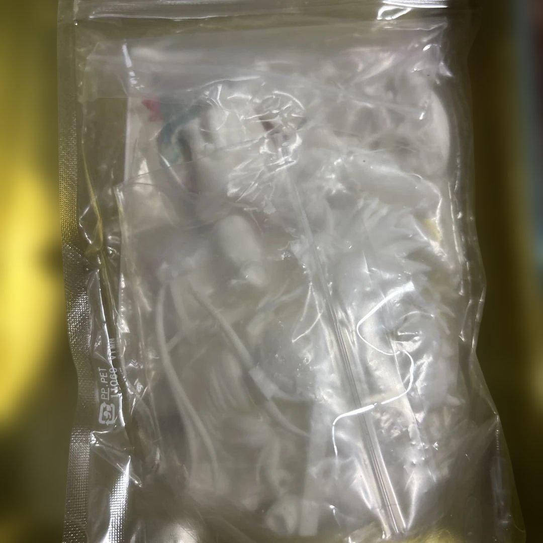 Fate/Grand Order fgo 九紋竜エリザ　ガレージキット