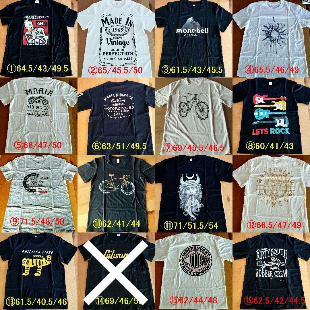 2000円相当オマケ付 新品 保証付 EHEIM 2213