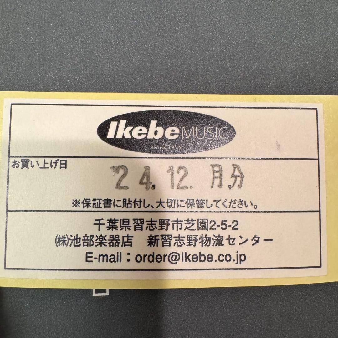 strymon blueSky v2 ストライモン　リバーブ　　【付属品完備】