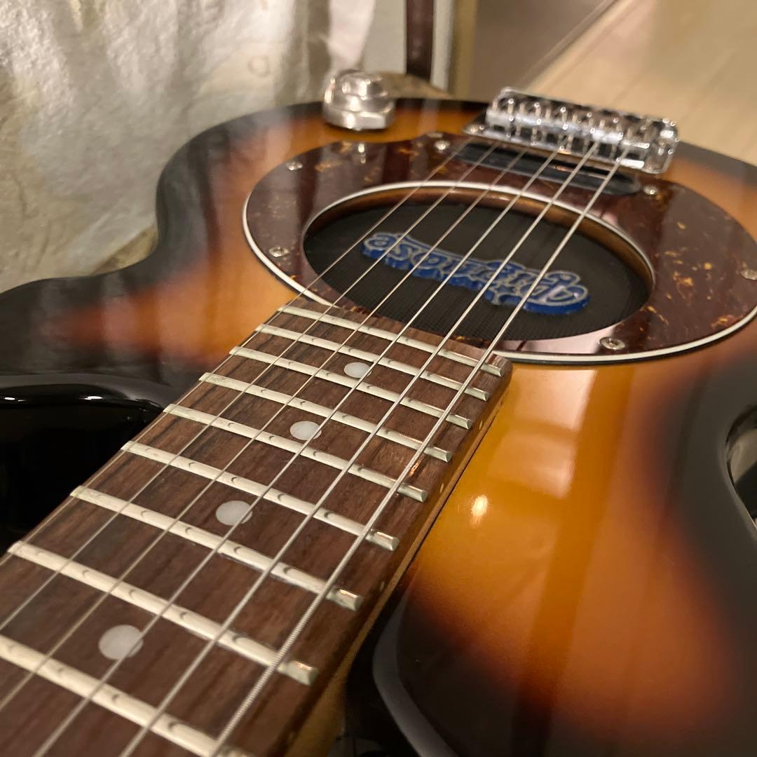 PGG トラベルギター　ピグノーズ