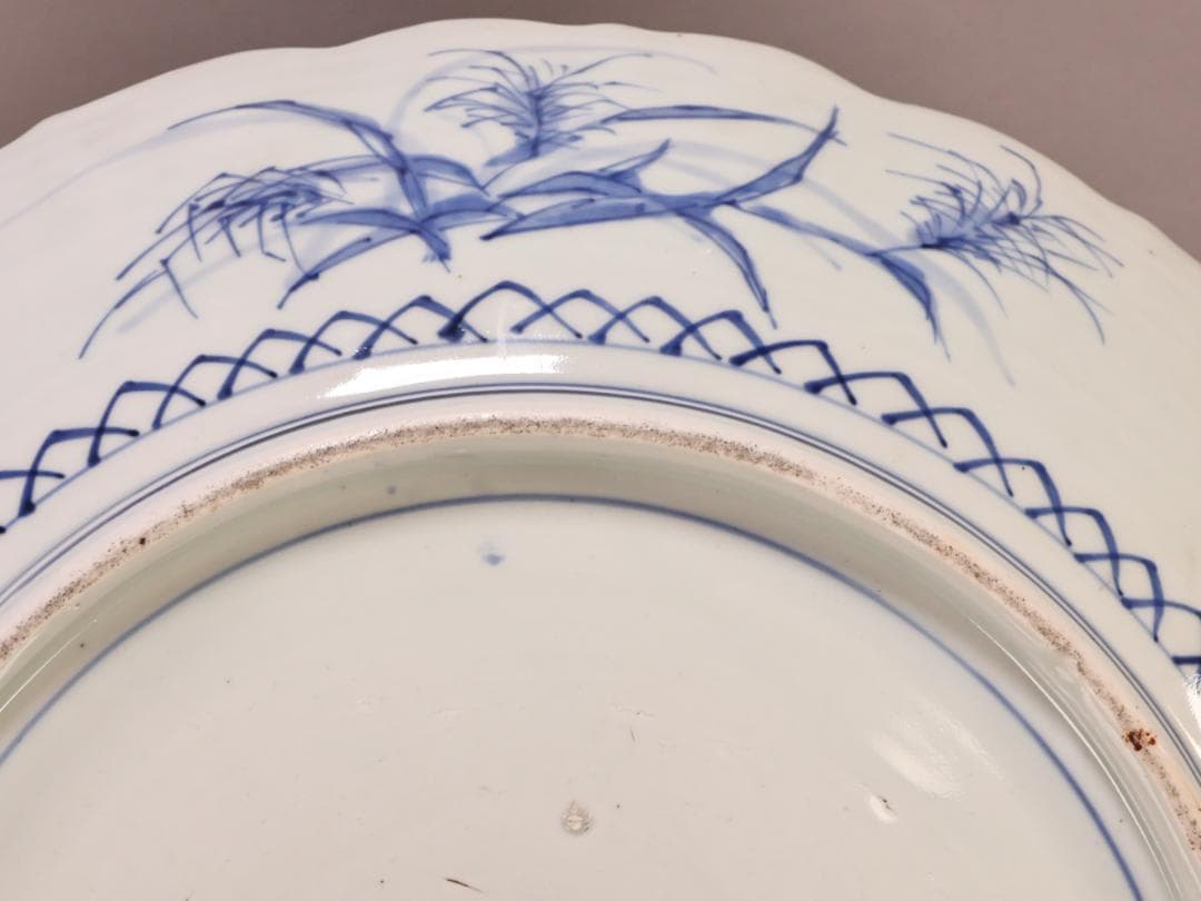 BK265　江戸期　古伊万里　古染付鹿文　大皿　49㎝　二重角福　1尺6寸