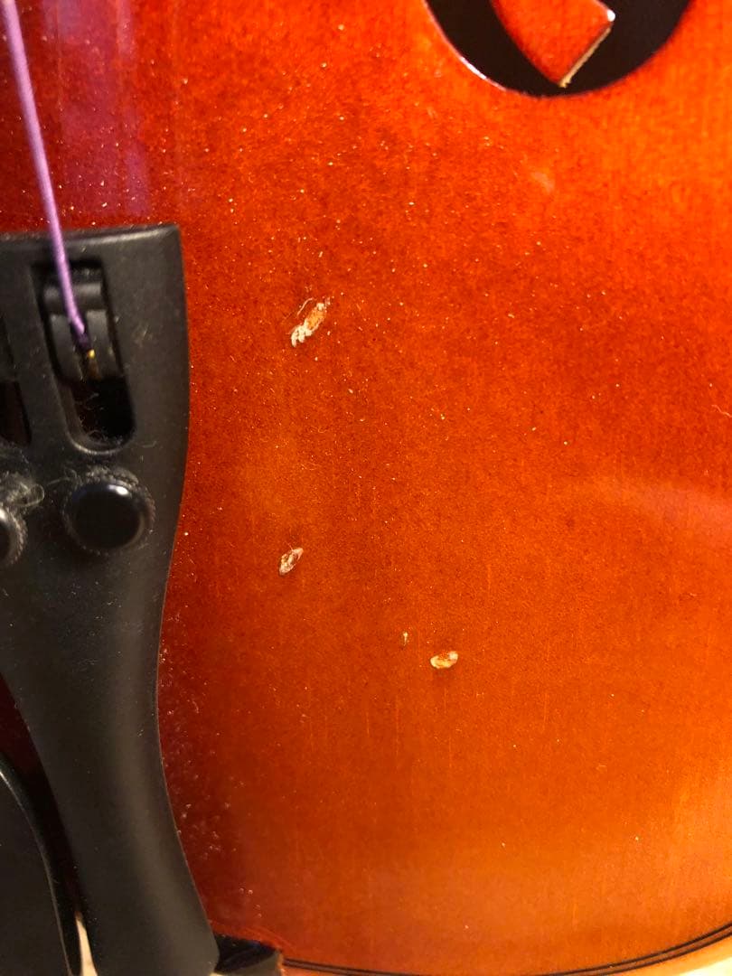 【駒&魂柱調整済】Suzuki分数バイオリンNo210 1/2 2018