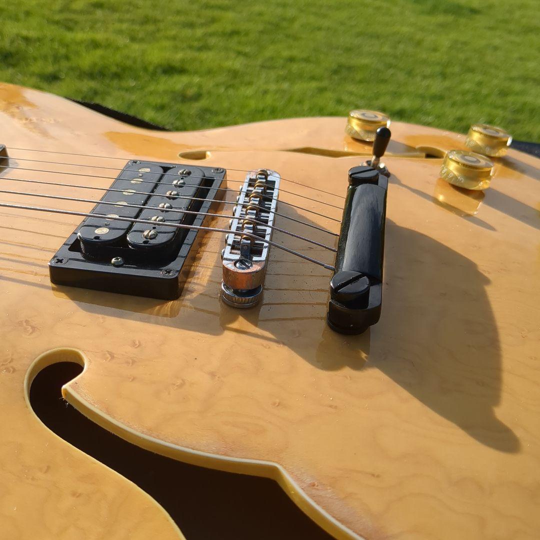 Yamatoセミホロウボディ エレキギター貴重 ケース付