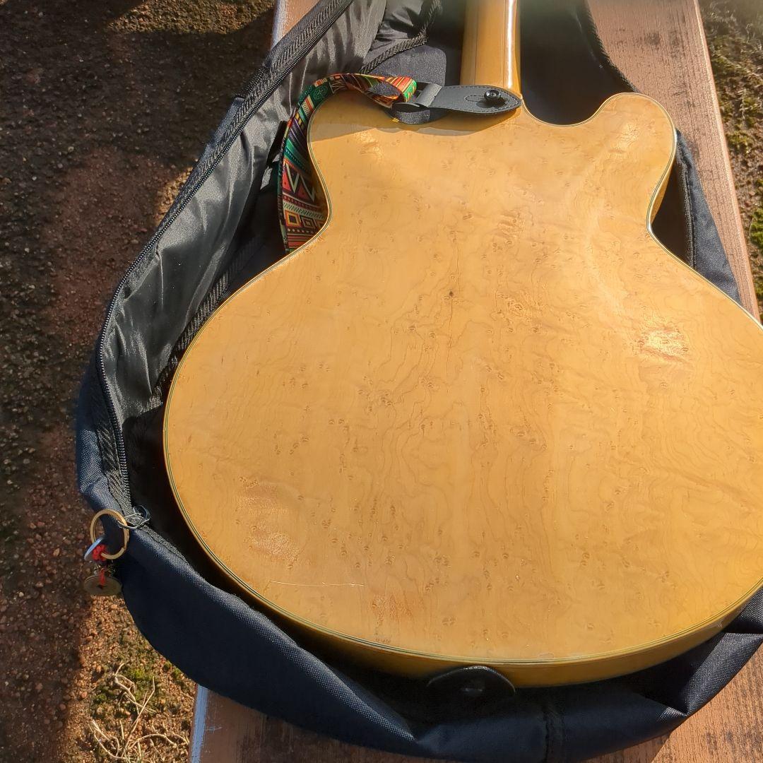 Yamatoセミホロウボディ エレキギター貴重 ケース付