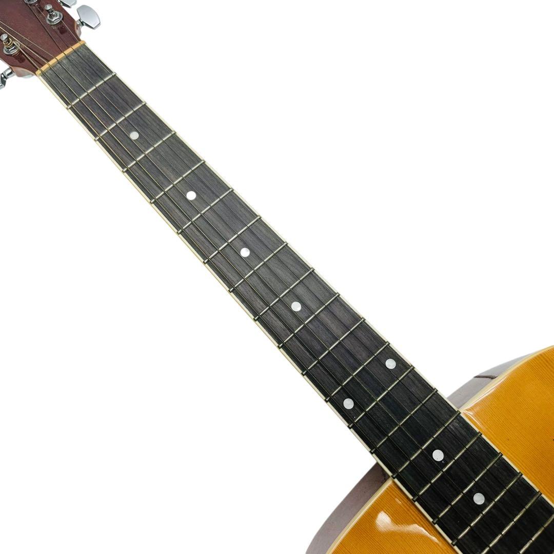 HONEY BEE アコースティックギター　F-15