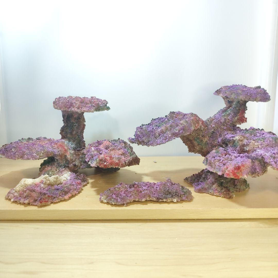 新品アク抜き不要 分離型人工ライブロック 60cm海水水槽用 レプリカ 多孔質4