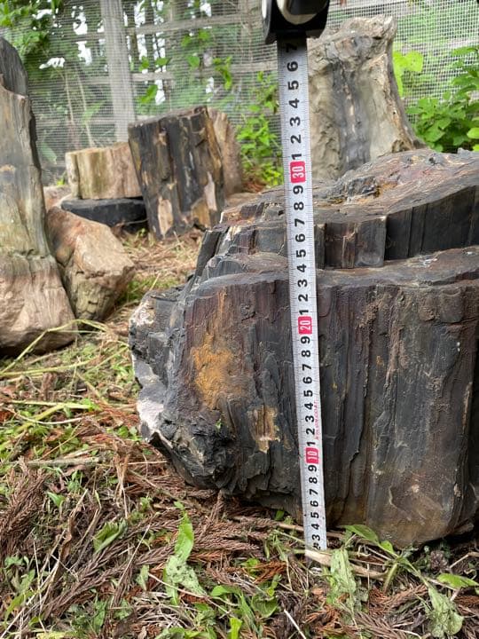 木化石（珪化木）秋田産　庭石、ガーデニング置物