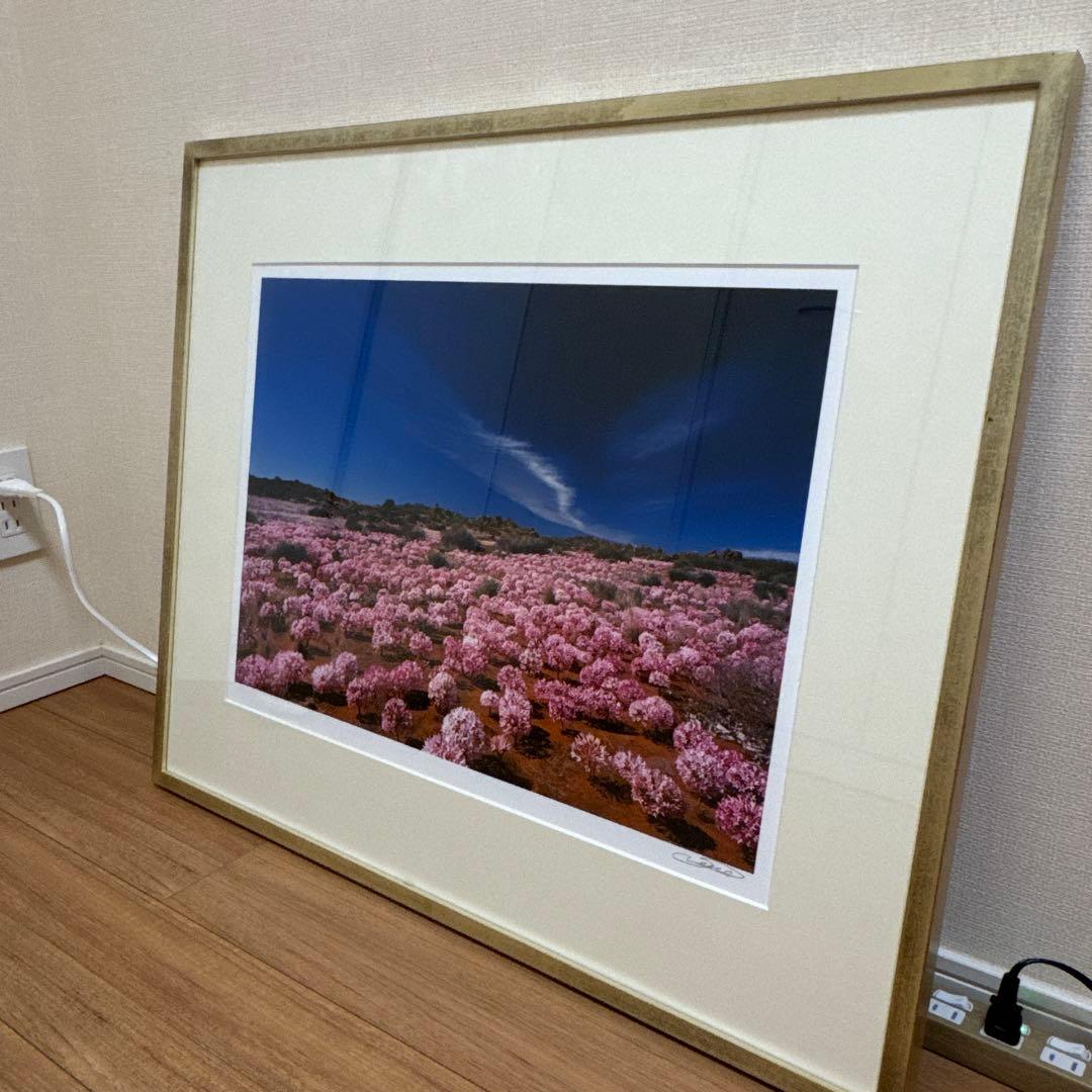 HABU 花の風景 61.5×74cm