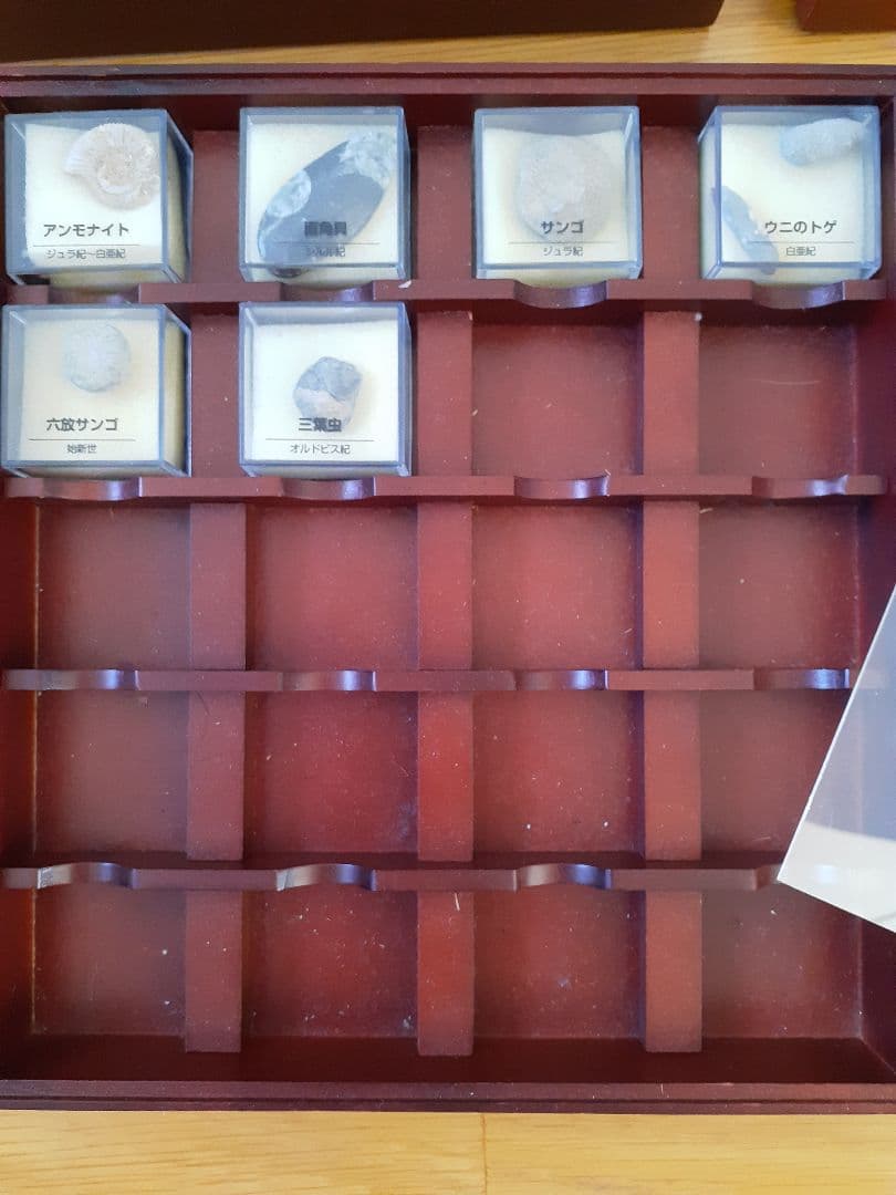 ディアゴスティーニ　トレジャーストーン　鉱石標本セット 木製収納ケース付き