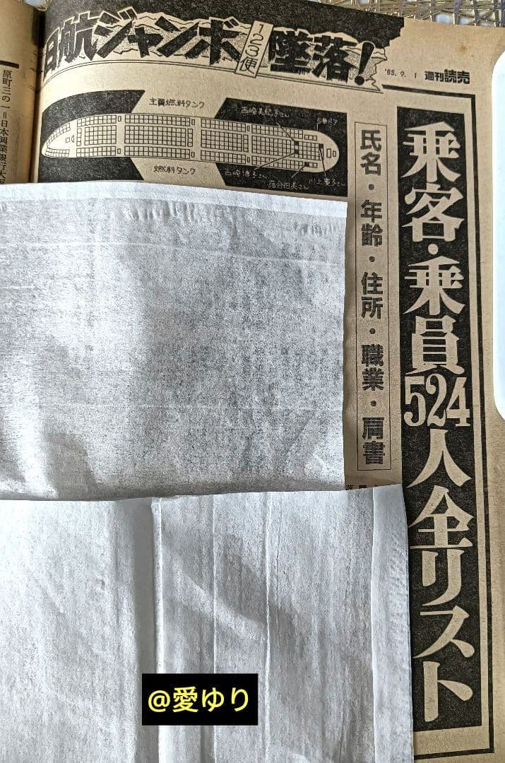 ♦日航ジャンボ機墜落事件❄️関連誌全５冊⭐御巣鷹山⭐事故調⭐ボイスレコーダー