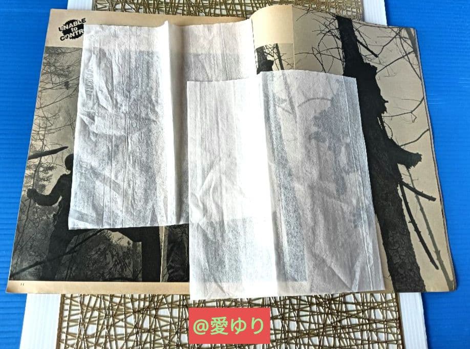 ♦日航ジャンボ機墜落事件❄️関連誌全５冊⭐御巣鷹山⭐事故調⭐ボイスレコーダー