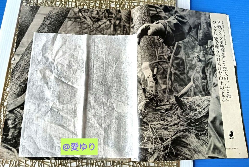 ♦日航ジャンボ機墜落事件❄️関連誌全５冊⭐御巣鷹山⭐事故調⭐ボイスレコーダー