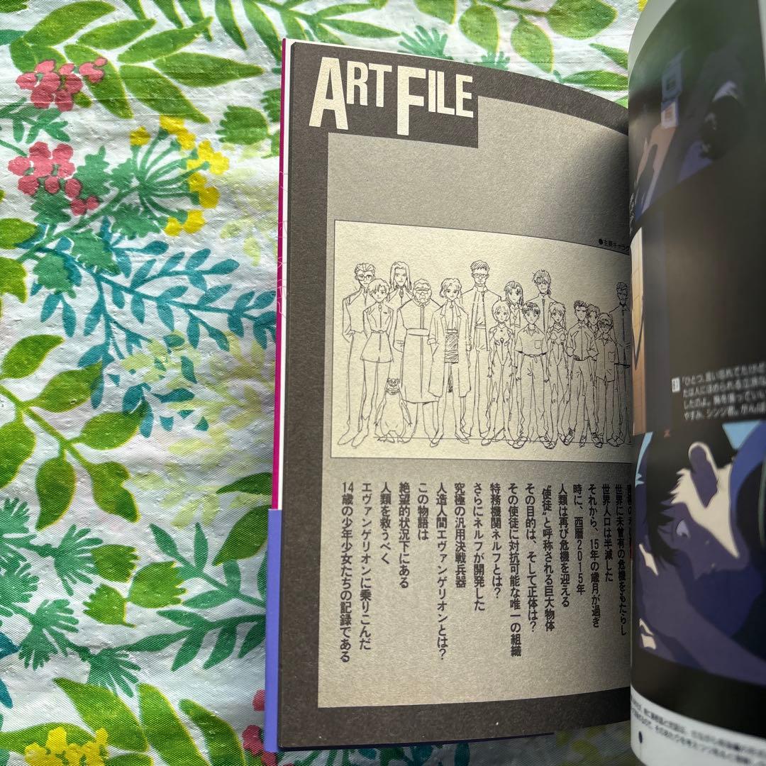 【絶版・全巻初版本・帯付・希少】新世紀エヴァンゲリオン・フィルムブック 全９巻