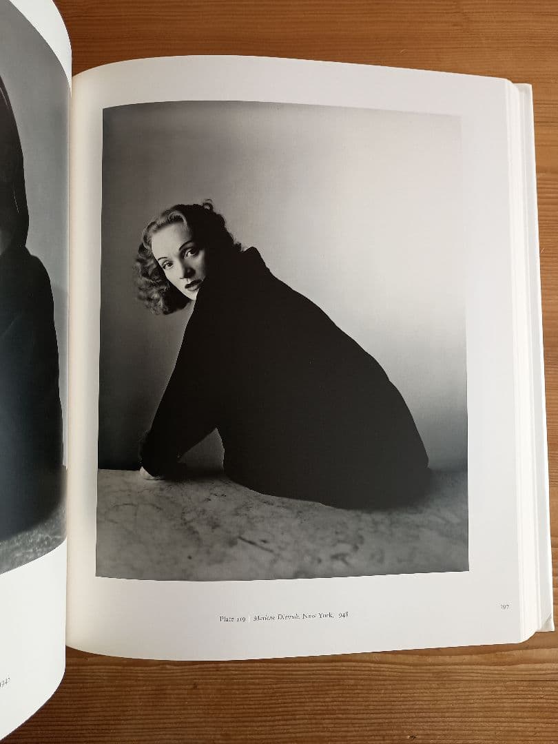 三宅一生 手紙付き アーヴィング・ペン CENTENNIAL