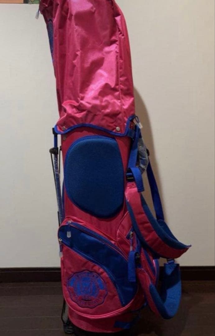 ❗️値下げ中❗️EDWIN ゴルフ キャディバッグ