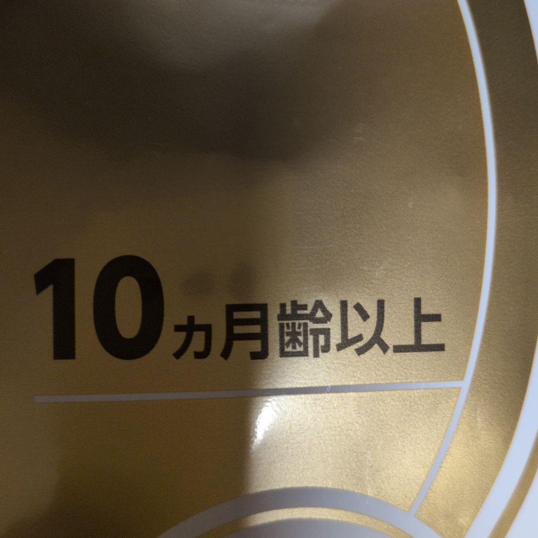  CANIN 柴犬ドッグフード 8kg