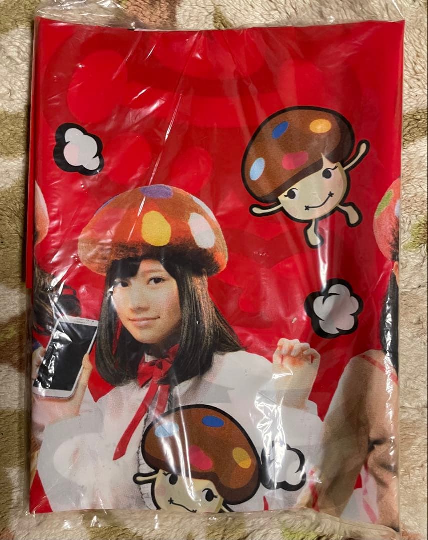 AKB48 NTTドコモ AKBダケの応援学割2013 タペストリー のぼり