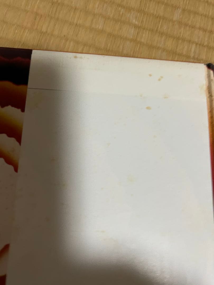 初回LPスティービーワンダー　キーオブライフ　国内盤　付属品全てありポスター