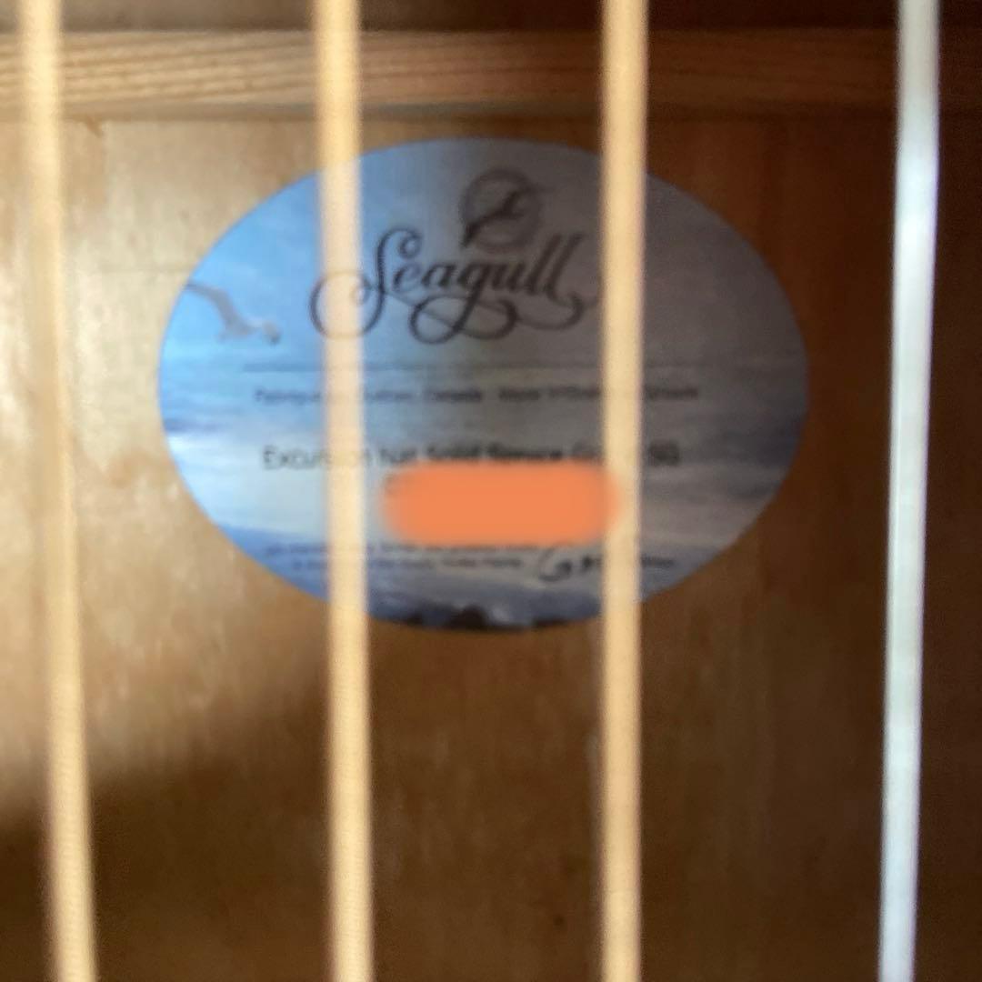 シーガル Seagull Grand パーラーギター