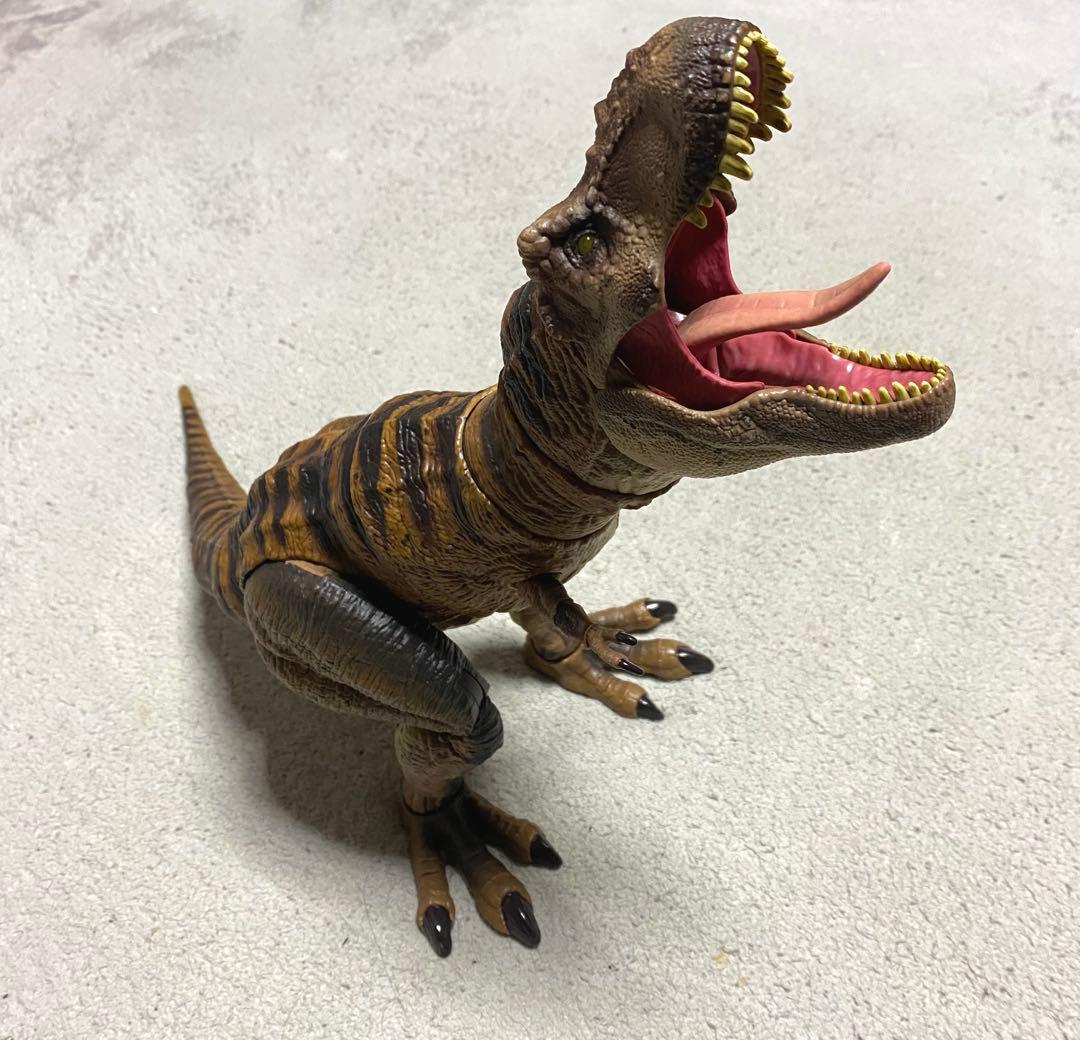 ハモンドコレクション　ティラノサウルス マテル