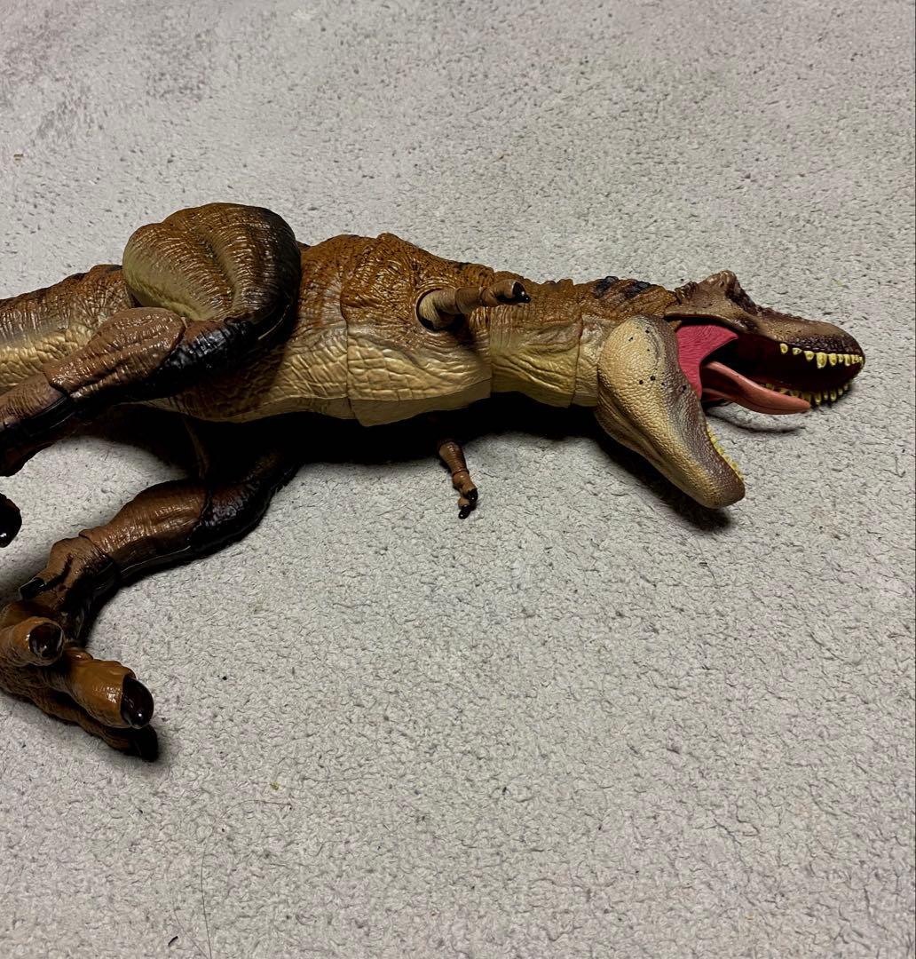 ハモンドコレクション　ティラノサウルス マテル