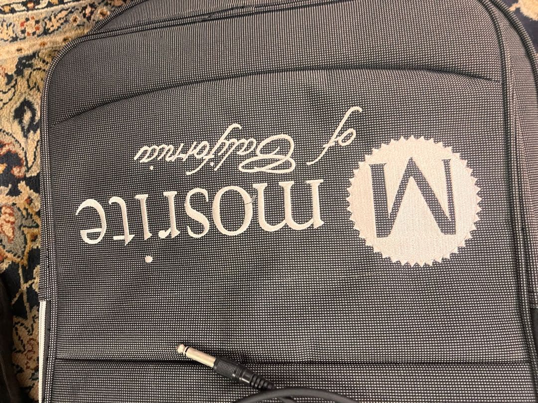 Aria Pro2 Magna Series エレキギター モスティテケース付き