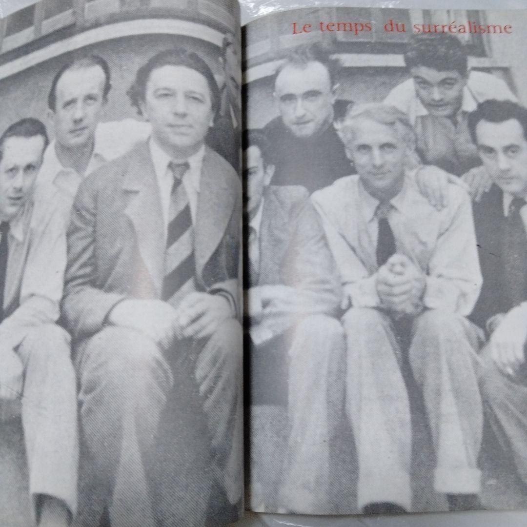 ダリ回顧展 図録 1980年 ポンピドーセンター 近代美術館 大型本 布装