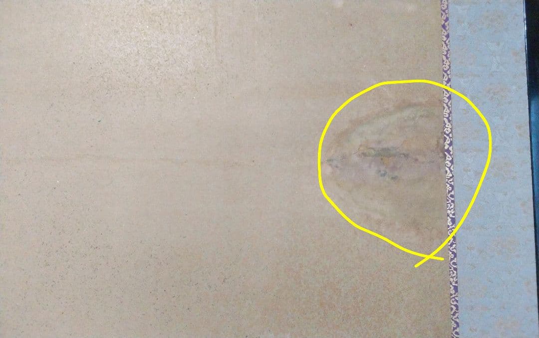 若冲伊藤【二枚折り屏風】岩絵の具使用