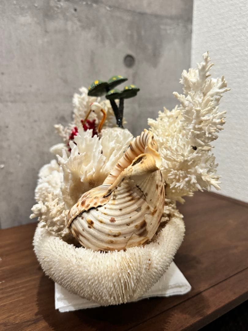 白珊瑚天然　オブジェ　アクアリウム　インテリア　デコレーション サンゴ
