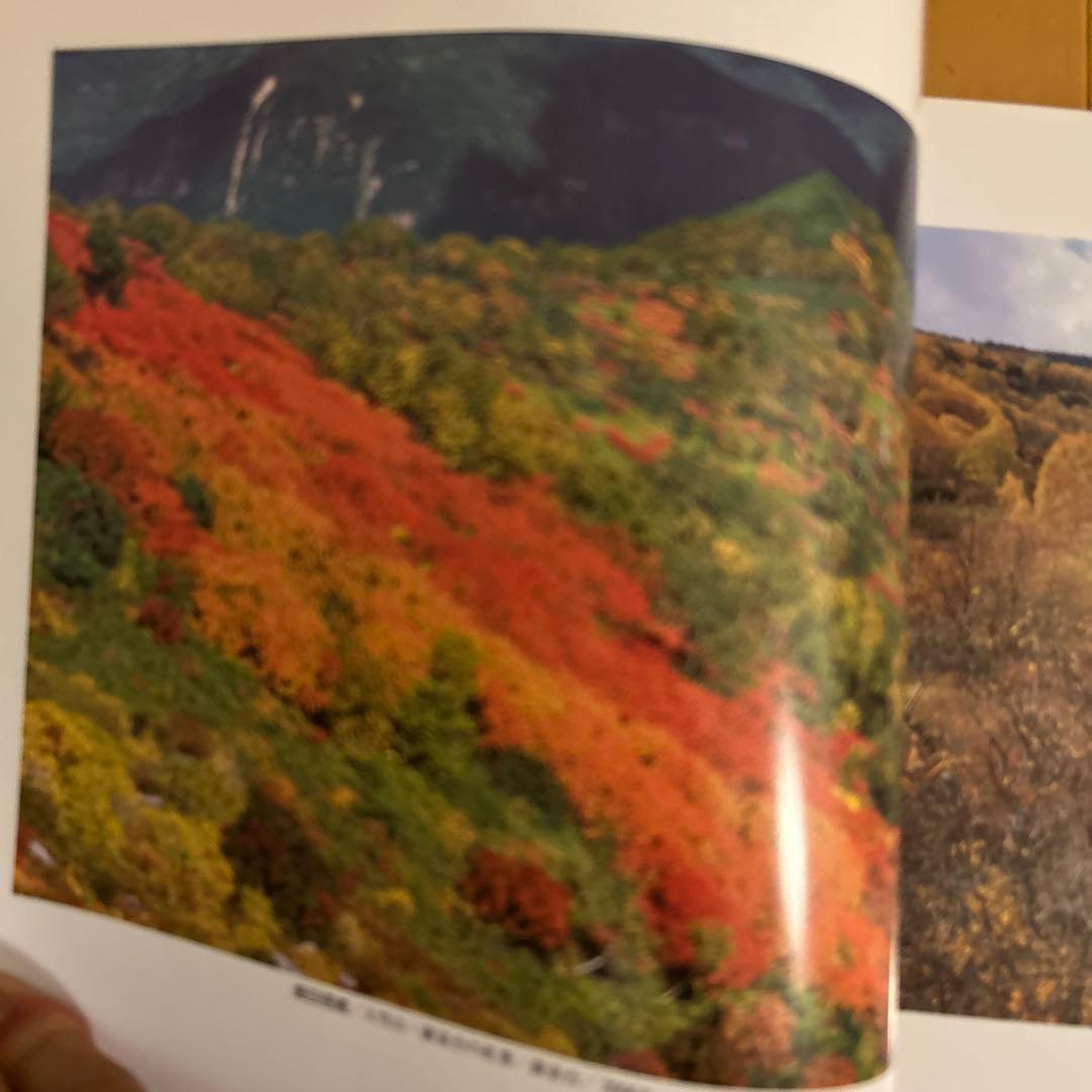 美山彩額 日本大判写真展 2007