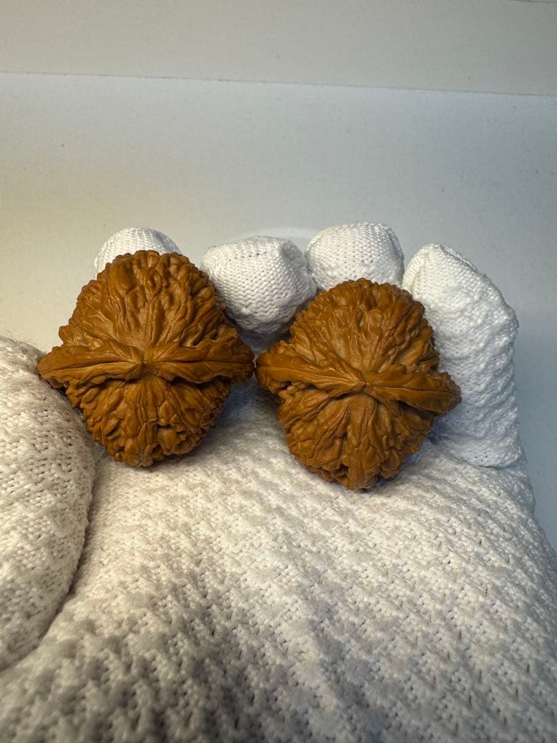 文玩核桃 三角白獅子