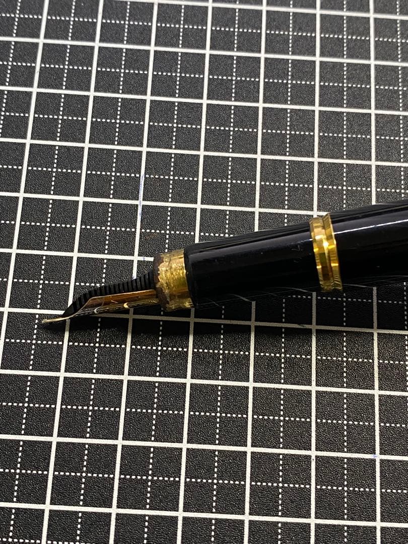 WATERMAN LE・MAN 100 万年筆　字幅F程度